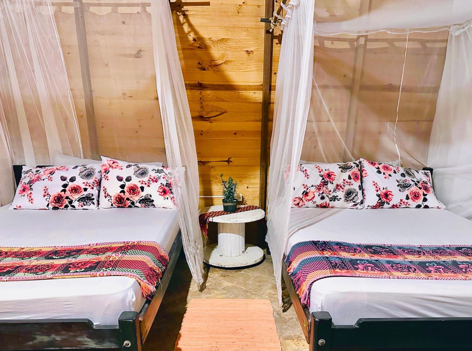 Bella Flor Hostel Palomino Eksteriør billede